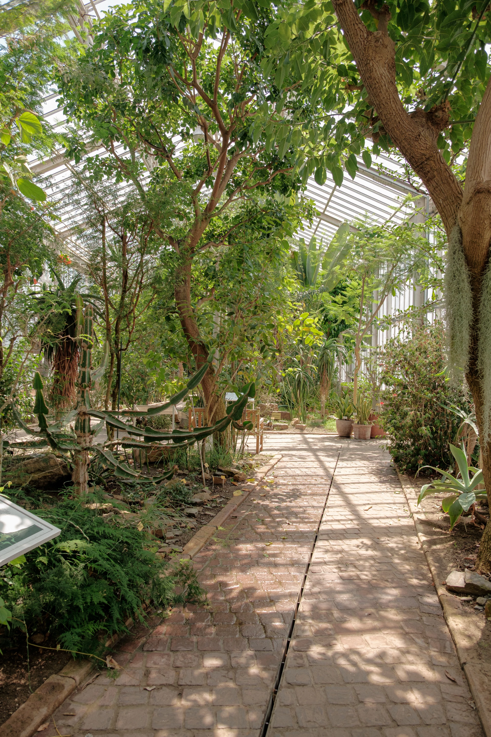 Meise Botanic Garden