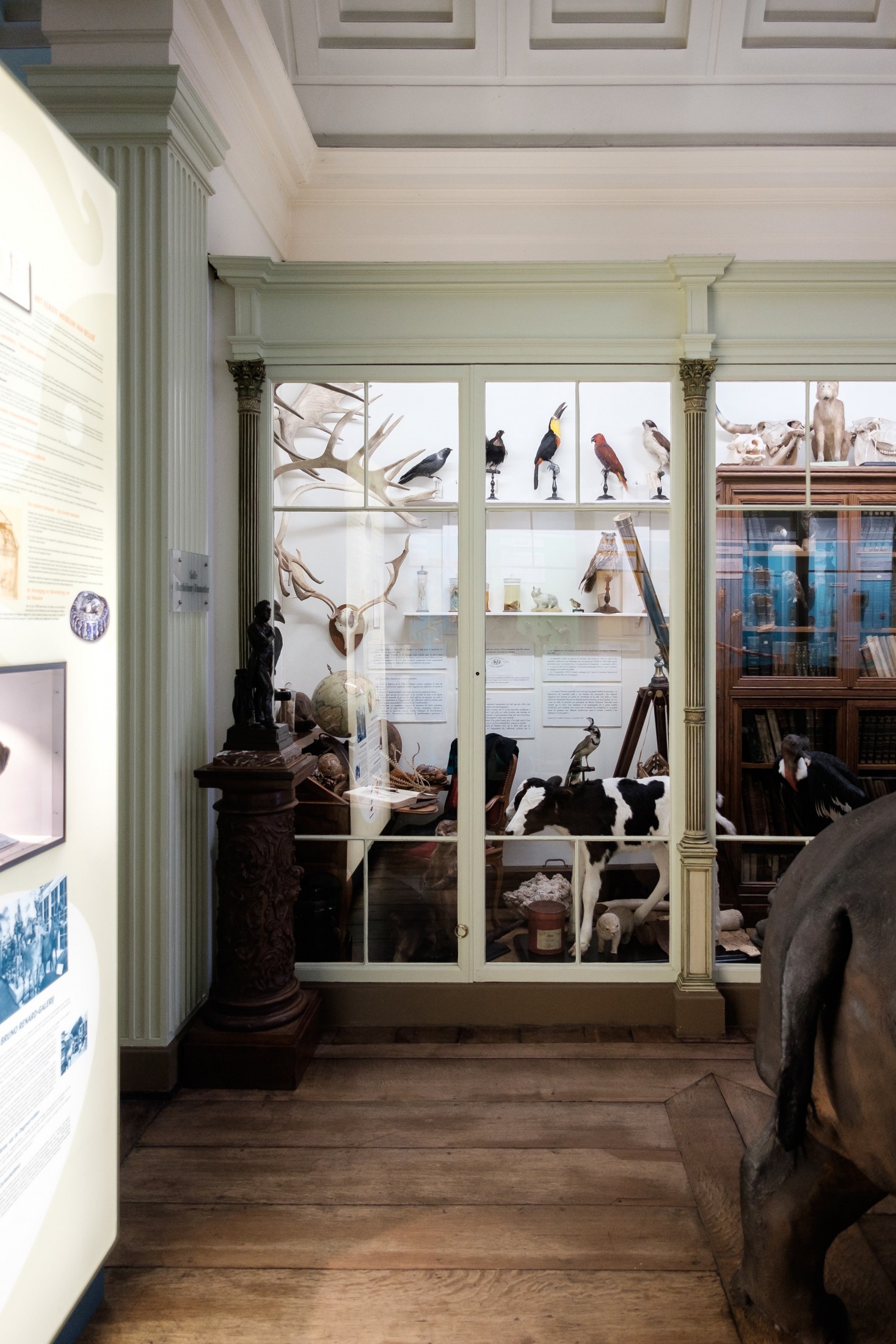 Natural History Museum and Vivarium of Tournai