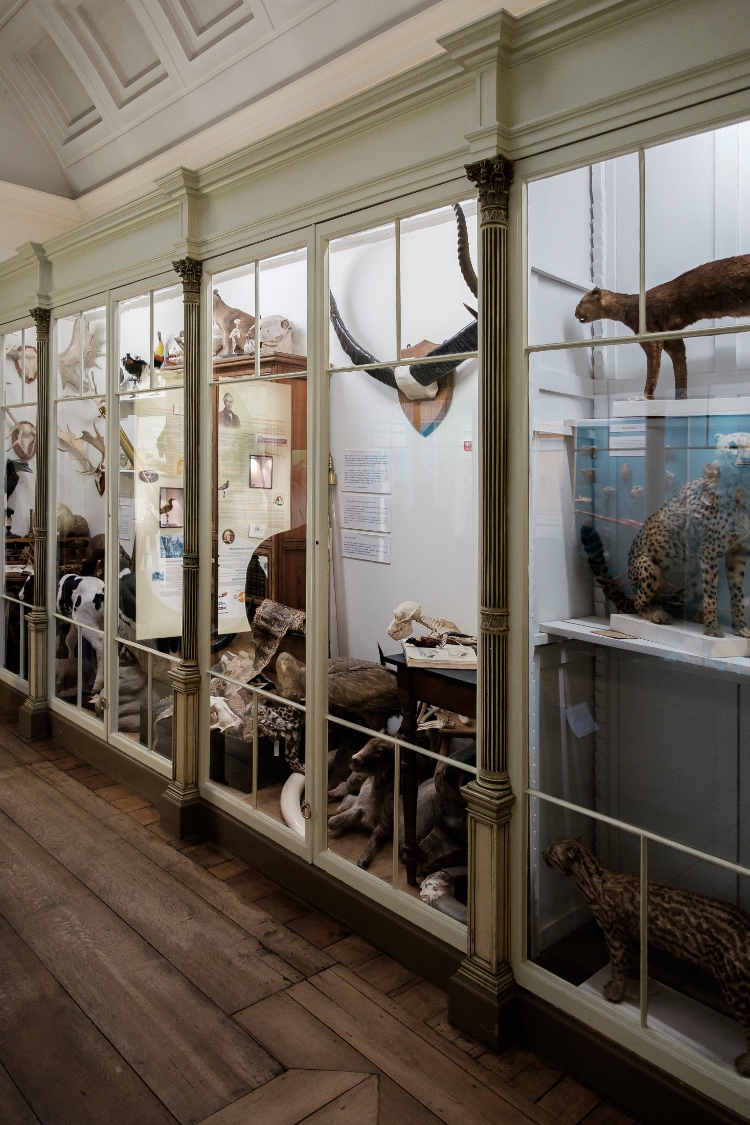 Natural History Museum and Vivarium of Tournai