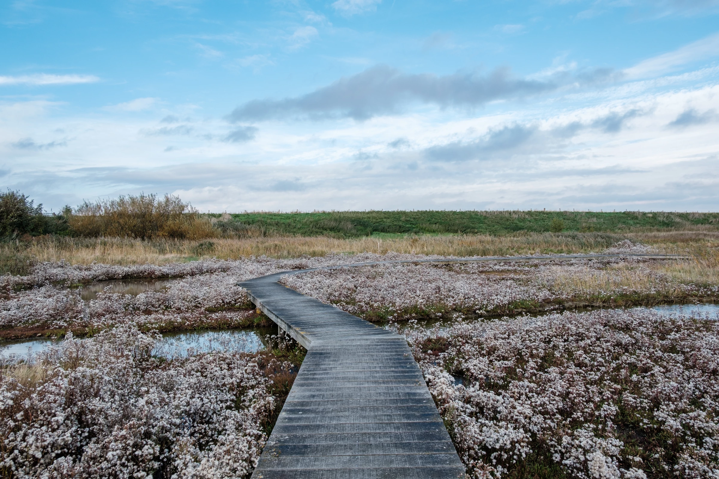 Natuurmonumenten Regional Office